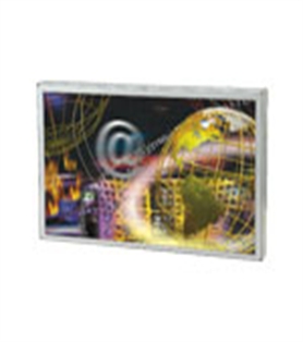 20" Open Frame LCD monitor